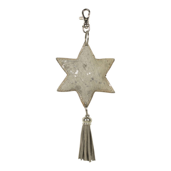 Porte-clé étoile - Argent