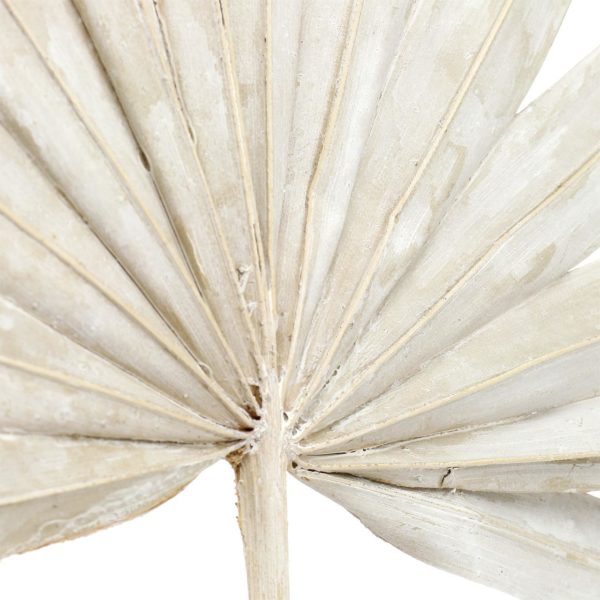 Feuilles de palmier - Grises – Image 2