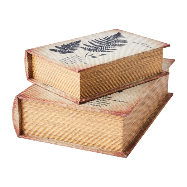 Livre boite secrète - Fougère – Image 2