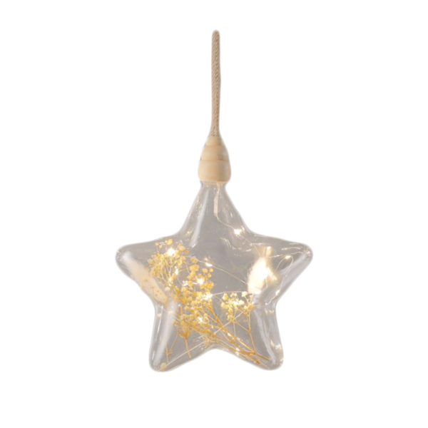 Lampe baladeuse fleurs séchées - Etoile