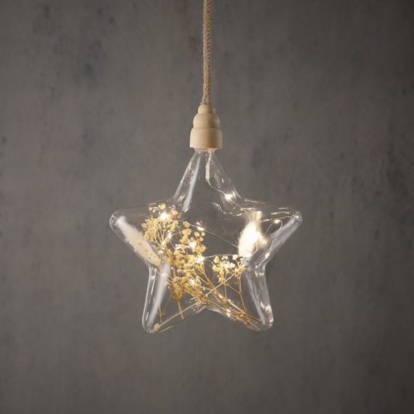 Lampe baladeuse fleurs séchées - Etoile – Image 2
