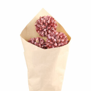 bouquet de fleurs boule de neige rouge