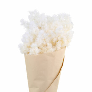 bouquet de fleurs séchées asparagus blanc