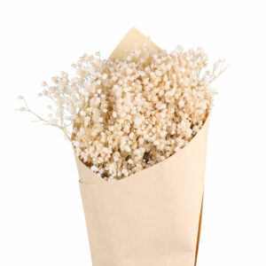 bouquet de fleurs séchées gypsophile blanc