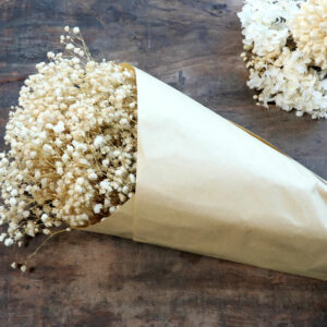 bouquet de fleurs séchées gypsophile blanc