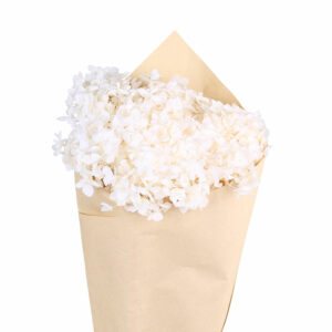 bouquet de fleurs séchées hortensia blanc