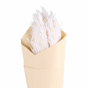 bouquet de fleurs séchées pampa blanche