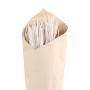 bouquet d'herbe séchée pampa blanche