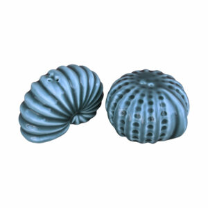 saliere poivriere forme coquillage bleu 1