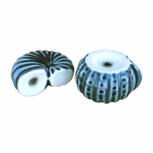 saliere poivriere forme coquillage bleu 2